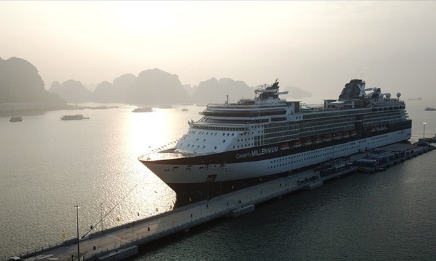 Puerto turístico de Ha Long recibe primer crucero internacional