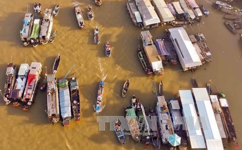 Inauguran jornada cultural-turística del mercado flotante de Cai Rang, en Can Tho