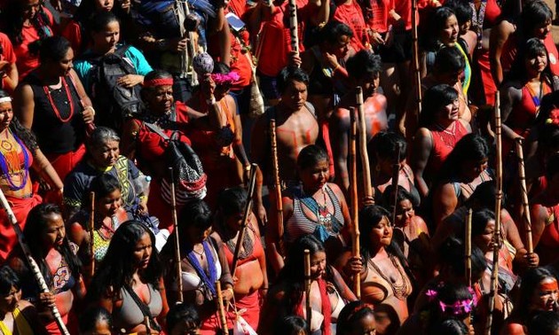 Indígenas brasileñas rechazan políticas del gobierno