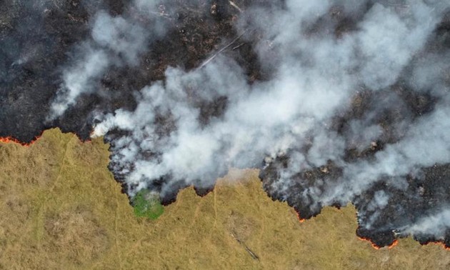 Incendios en la Amazonía: ya no es un asunto nacional