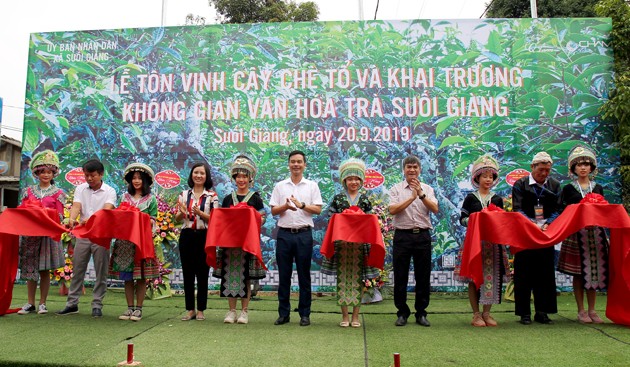 Semana cultural y turística de Muong Lo enaltece la planta de té tradicional