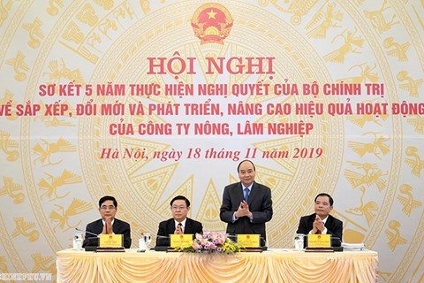 Revisan la reorganización de las empresas agrícolas y silvícolas vietnamitas