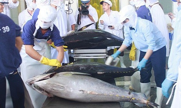 Crecen exportaciones de atún de Vietnam a México