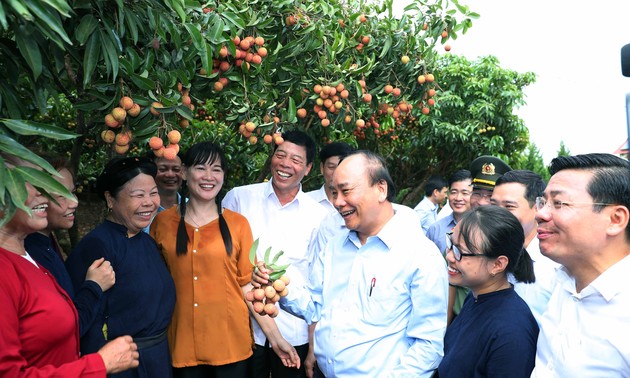 Premier vietnamita asiste a acto de promoción de exportación de lichis en Bac Giang