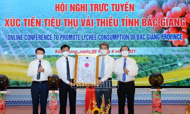 Bac Giang celebra conferencia en línea para impulsar el consumo de lichi