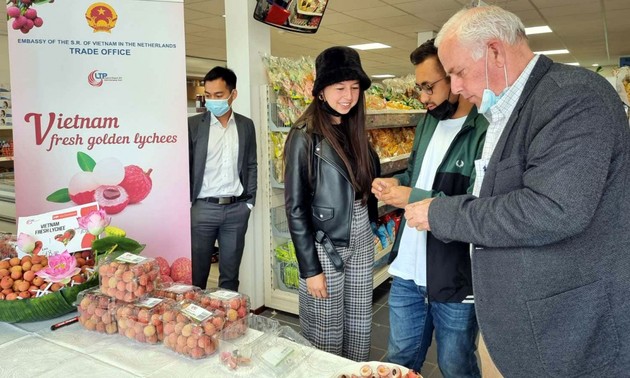 Promueven el consumo de lichis vietnamitas en los Países Bajos