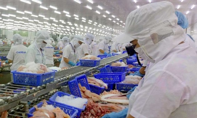 Crece la exportación de productos pesqueros vietnamitas a la UE 