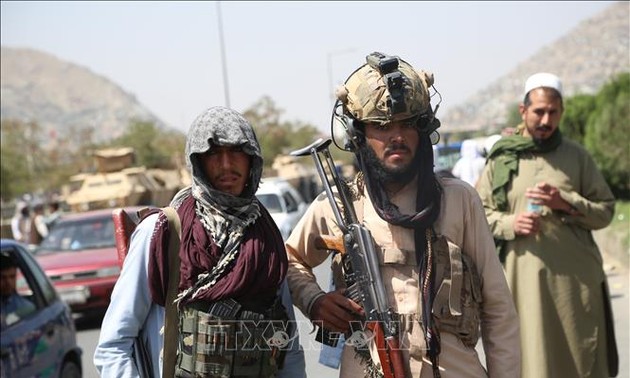 Diplomático de Afganistán pide a la ONU participar en proceso de paz
