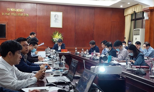 Vietnam proyecta establecer zonas de materias primas agrícolas estándar