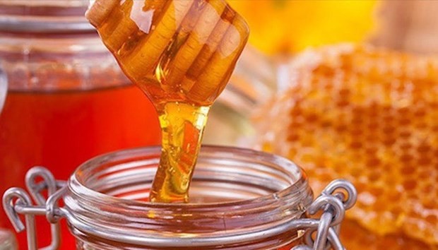 Vietnam busca garantizar la estabilidad de la exportación de miel 