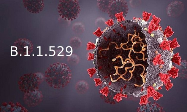 La variante del coronavirus Ómicron provoca grandes preocupaciones en el mundo