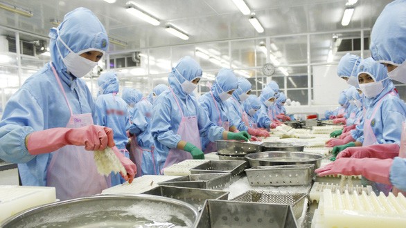 Buen ritmo de crecimiento de la exportación de camarones de Vietnam en los mercados principales en 2021
