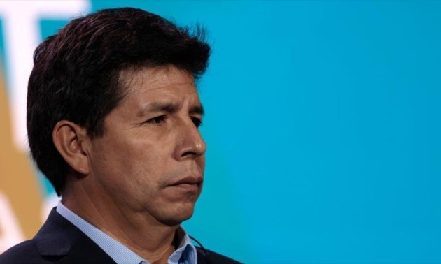Presidente Pedro Castillo presenta su renuncia al partido Perú Libre