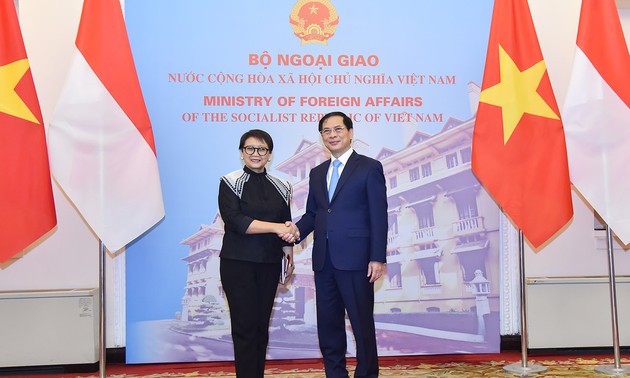 Canciller Bui Thanh Son copreside V Reunión de la Comisión Mixta de Cooperación Vietnam-Indonesia