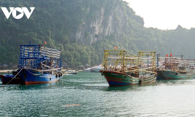 Destacan el rol de las localidades en el combate a la pesca ilegal INDNR