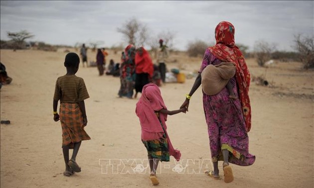 Más de 74 millones de personas en el Cuerno de África sufren inseguridad alimentaria