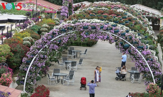 Chiêm ngưỡng vườn hoa lớn nhất thế giới