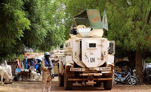 Mali : le Vietnam appelle à protéger les civils