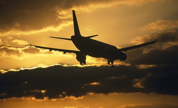 Transport aérien: “Le plus gros choc que le secteur ait jamais vécu” - IATA