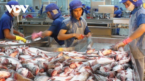 Les exportations de produits aquatiques en hausse de 26 % en cinq mois