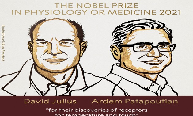 Le prix Nobel de médecine aux Américains David Julius et Ardem Patapoutian