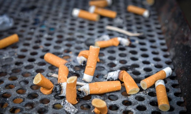 L’industrie du tabac épinglée par l’OMS pour ses méfaits sur l’environnement