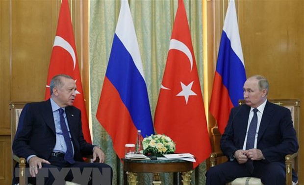 Crise ukrainienne: la Turquie veut organiser une rencontre entre Poutine et Zelenski