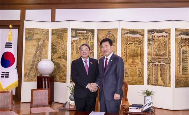Nguyên Duc Hai en République de Corée 
