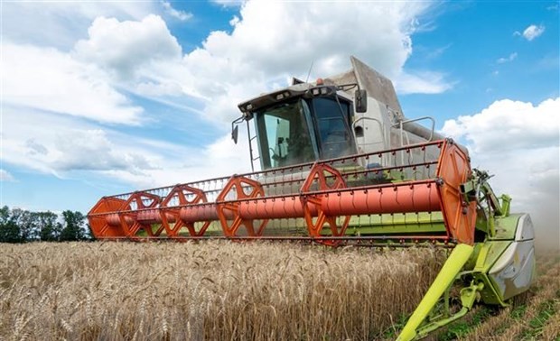 Dialogue entre l'ONU et la Russie sur l'exportation de céréales et d’engrais