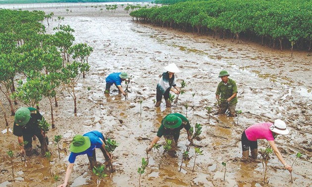 Le Vietnam appelle les pays à agir ensemble pour faire face au changement climatique