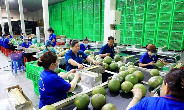 Promouvoir les exportations de légumes et de fruits en Asie