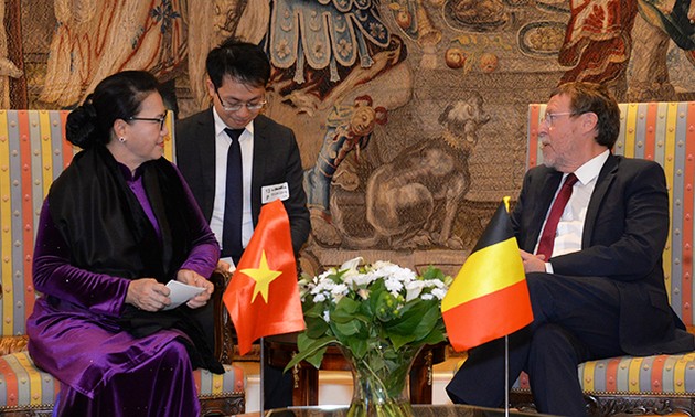 NA Chairwoman: Vietnam wants to strengthen ties with Belgium, EP 