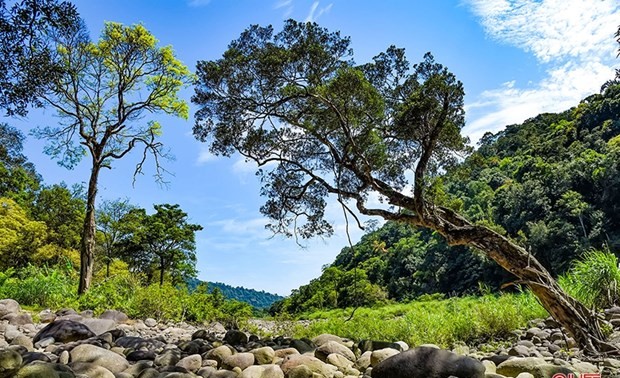 Vu Quang National Park receives ASEAN Heritage Park certificate