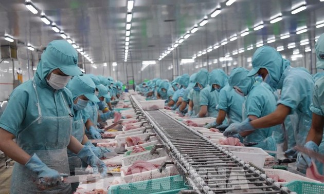 Vietnam seafood exports for 2020 will reach 8.6 billion USD
