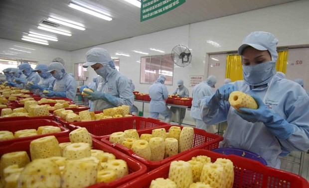 Vietnam targets 10 billion USD from fruit, vegetable exports by 2030