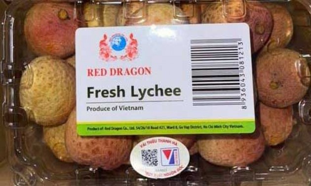 Vietnam’s lychees make it to Singapore supermarket shelves