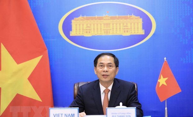 Foreign minister affirms Vietnam’s commitments to Mekong-Ganga Cooperation 