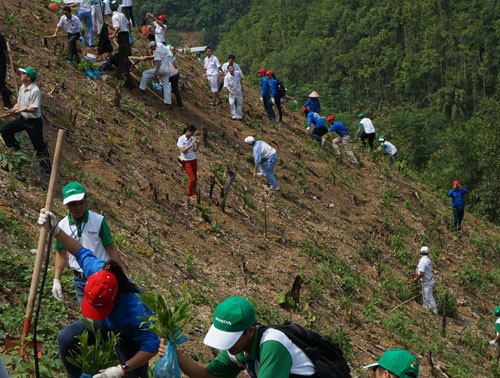 Ngân hàng Thế giới hỗ trợ Việt Nam chống biến đổi khí hậu 