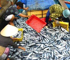 Nâng cao năng lực phát triển ngành thủy sản Việt Nam