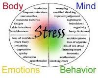 Một số biện pháp cơ bản nhằm giảm chứng stress