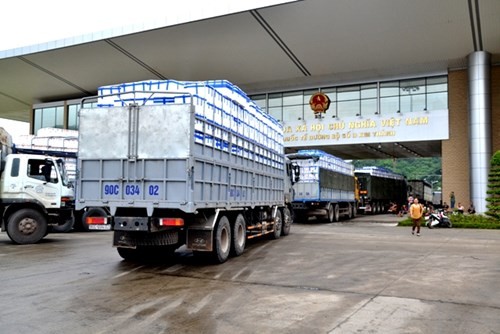 Hơn 13 nghìn tấn quả vải Việt Nam xuất khẩu sang Trung Quốc qua Cửa khẩu Lào Cai