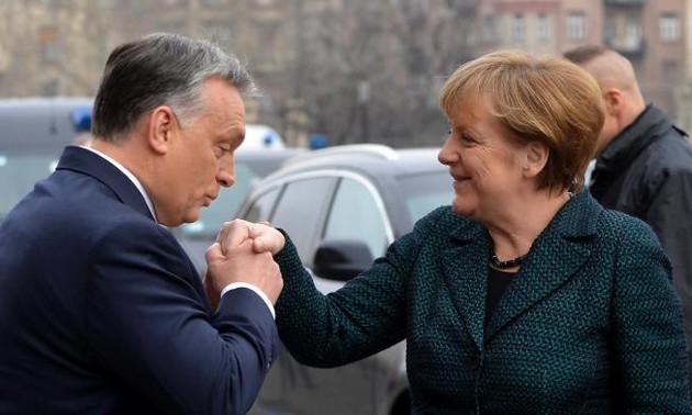 Germany not to supply weapons to Ukraine 