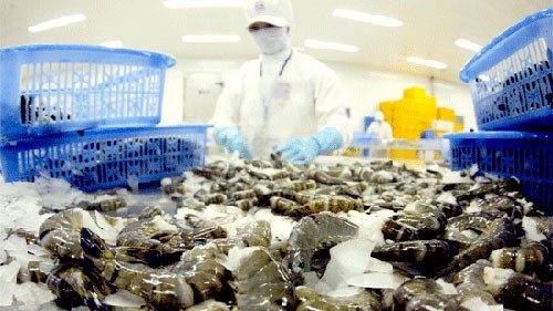 US leads Vietnam’s seafood importers 