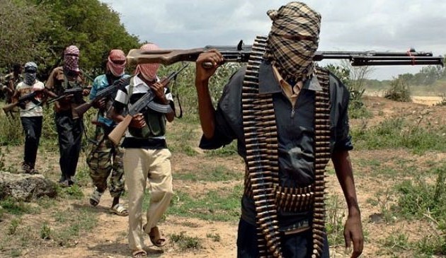 Niger kills 12 Boko Haram gunmen 