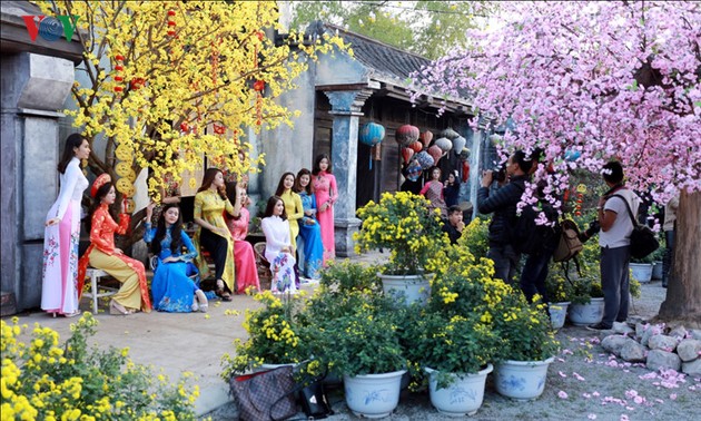 Hanoians visit flower villages as Tet holiday nears