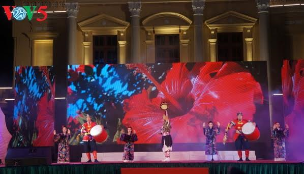 Hai Phong hosts Vietnam-Japan cultural exchange festival
