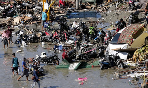 Indonesian authorities to allocate 43 million USD to assist tsunami victims 