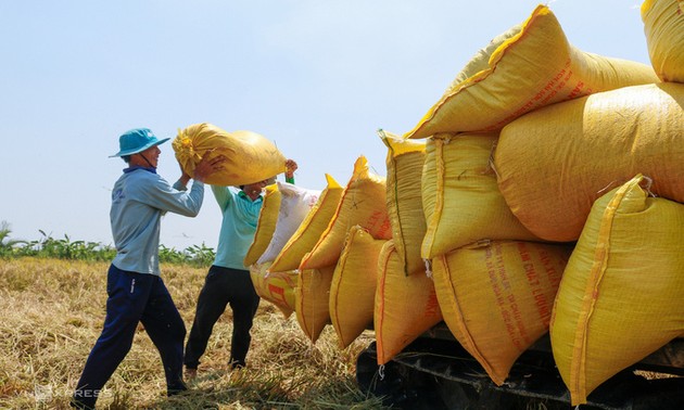Rice exports cross 1 bln USD on higher prices