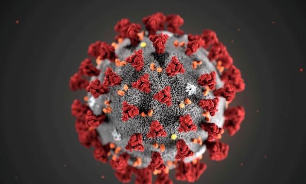 US intelligence community acknowledges two theories of coronavirus origin
