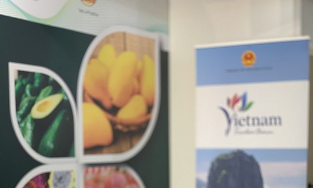 Vietnamese fruits showcased at Macfrut 2021 in Italy